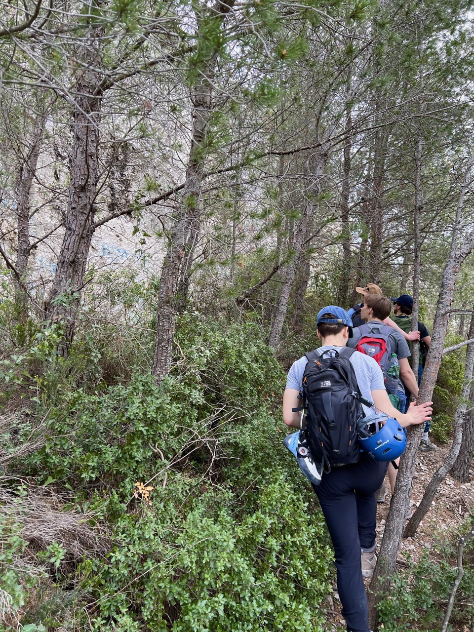 The final few steps to Roche Percée, approaching the arch through the trees.