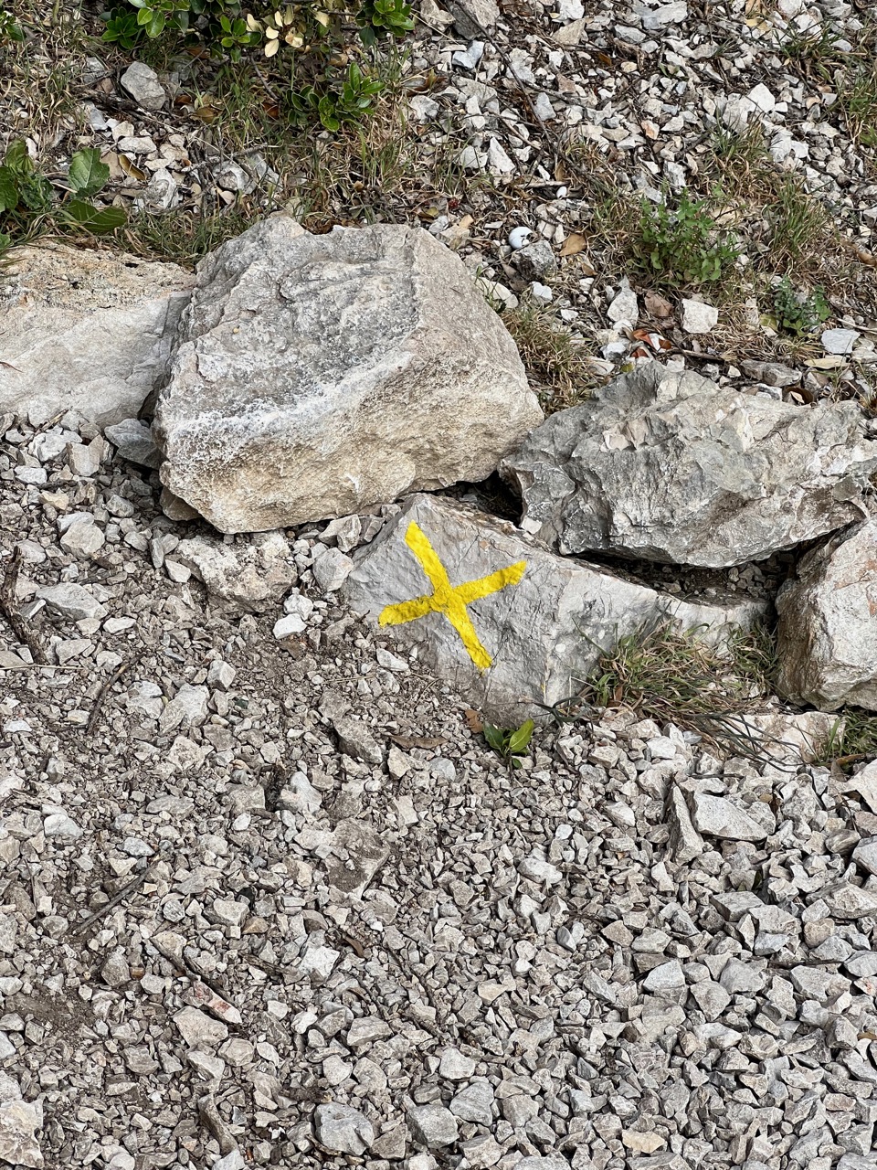 Screenshot from the Map section of the Mes Calanques app.